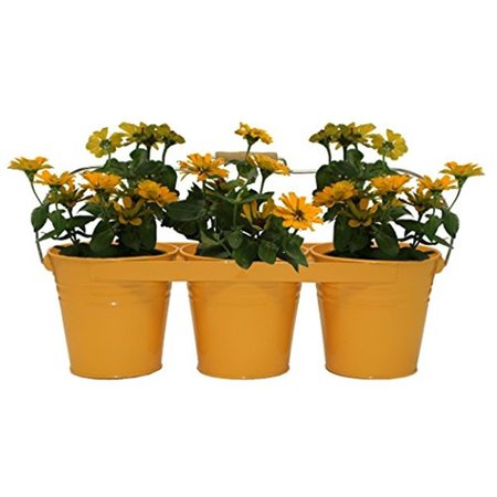 NEXT2NATURE Enameled Galvanized Triple Planter with Wood Handle for 6.5 Pots, Saffron NE2588632